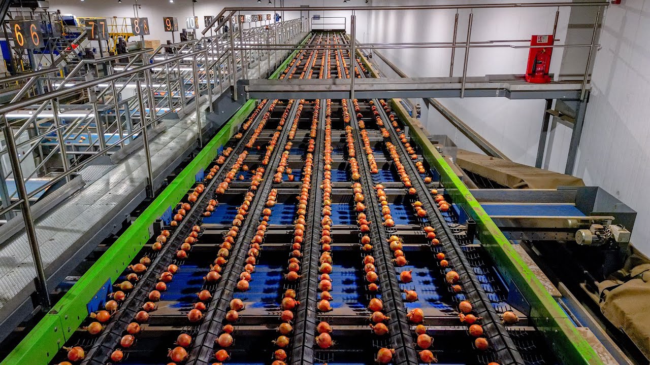 Equipos Postcosecha en venta - Agtivos Mexico